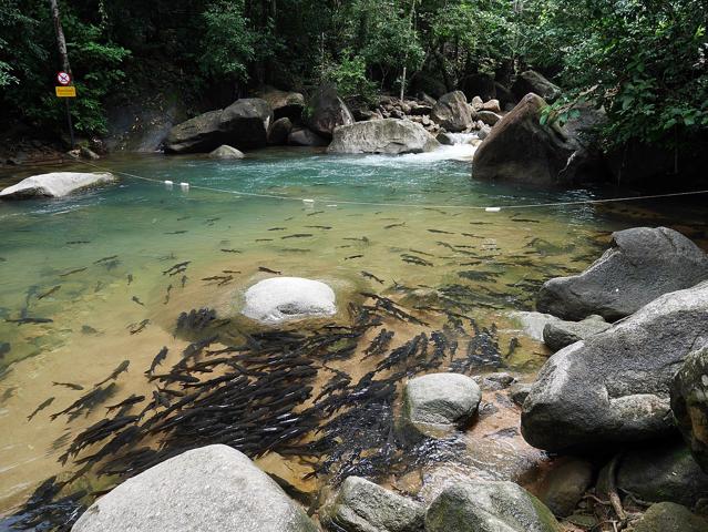 Namtok Phlio National Park